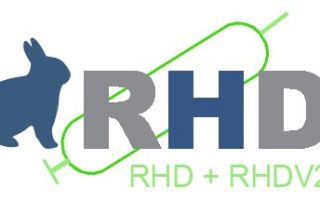 RHDV-2 – вирус вирусной геморрагической болезни кроликов мутировал
